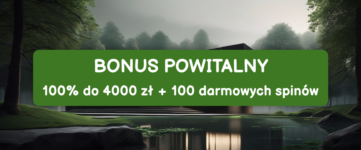 Spinetic Casino Polska