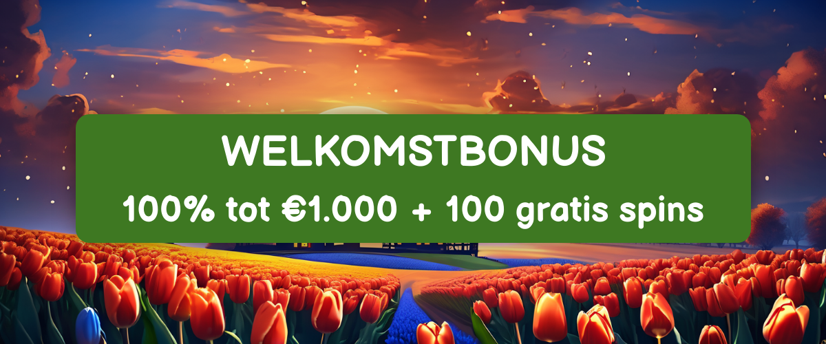 Spinetic Casino Nederland